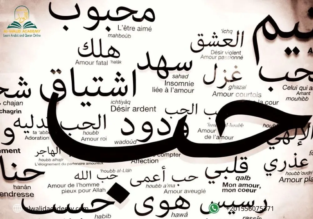 Saudi Arabia Language
