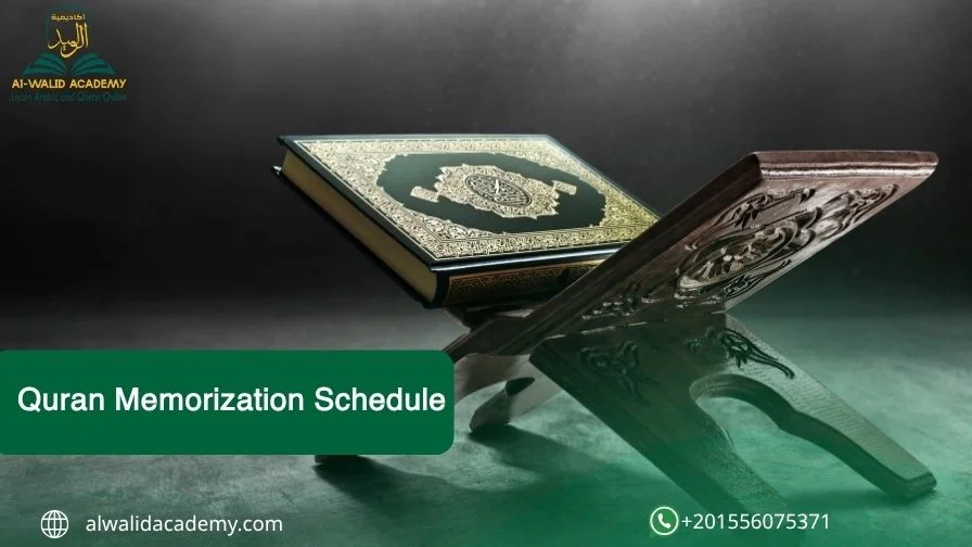 Quran Memorization Schedule for All Levels | Al Walid Academy