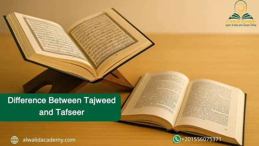 Difference Between Tajweed and Tafseer : A Comprehensive Guide